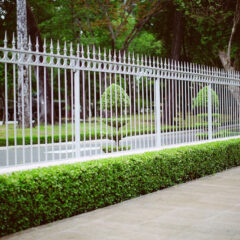 Jakie ogrodzenie sprawdzi się w Krakowie?