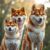 Shiba inu czy akita inu – porównanie charakteru, rozmiaru, pielęgnacji i potrzeb opiekuna